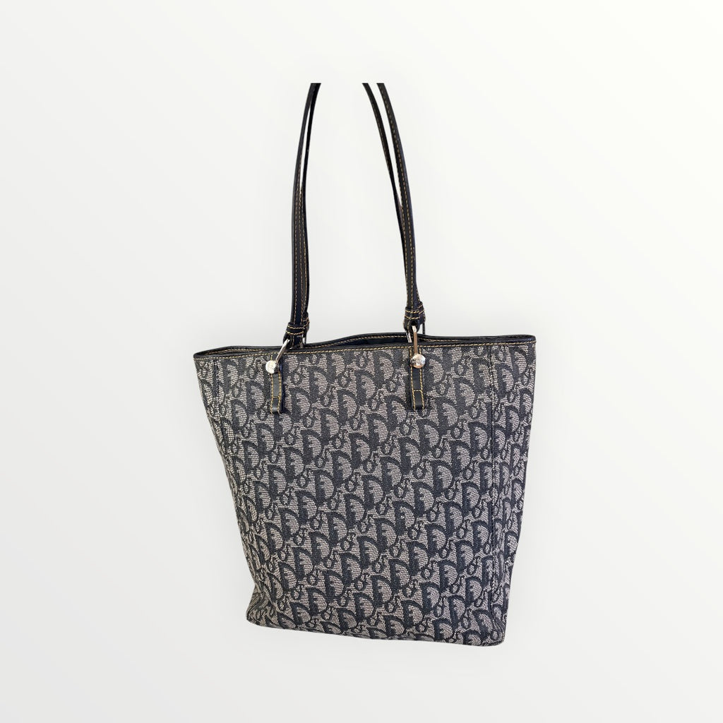 CHRISTIAN DIOR OBLIQUE TROTTER VERTICAL TOTE