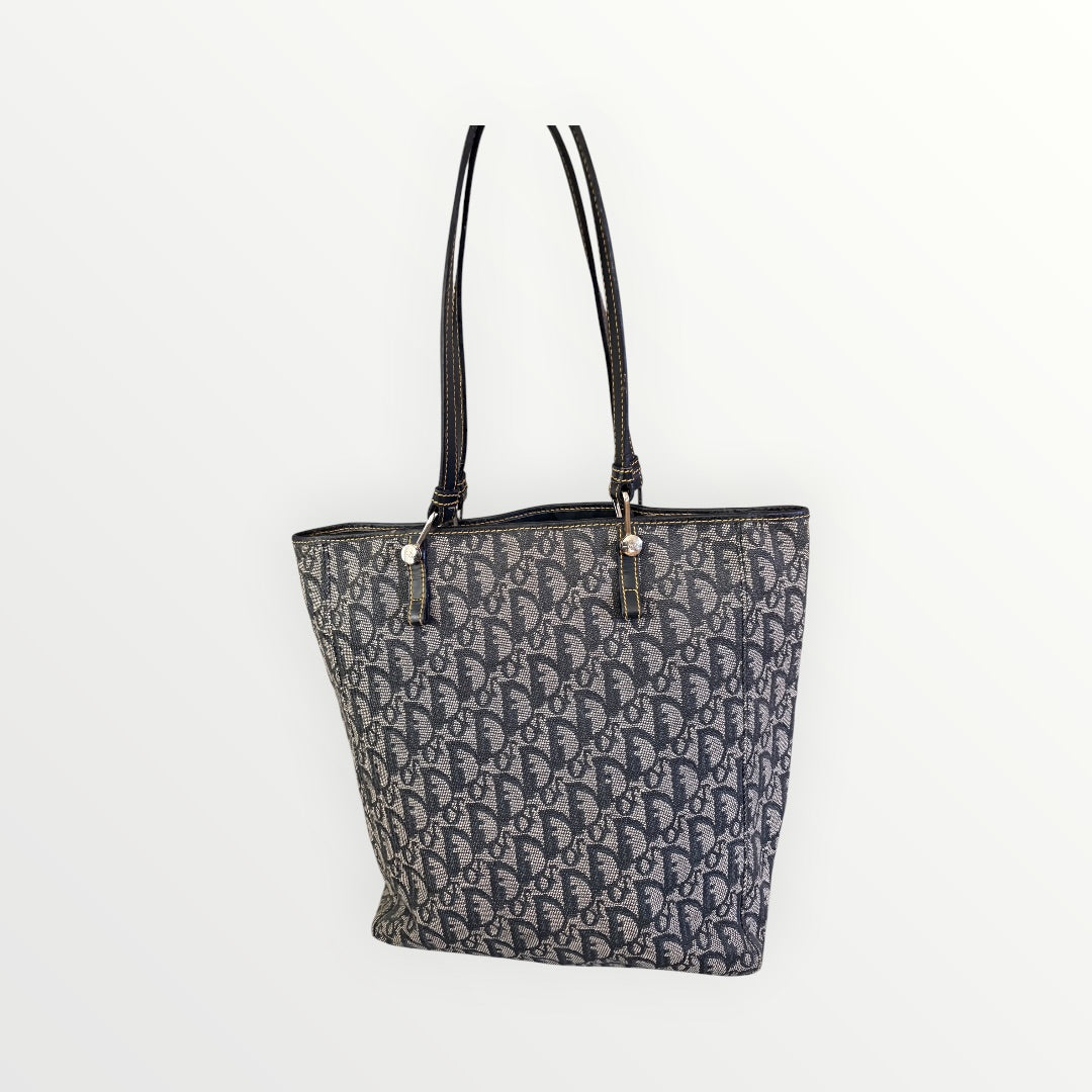 CHRISTIAN DIOR OBLIQUE TROTTER VERTICAL TOTE