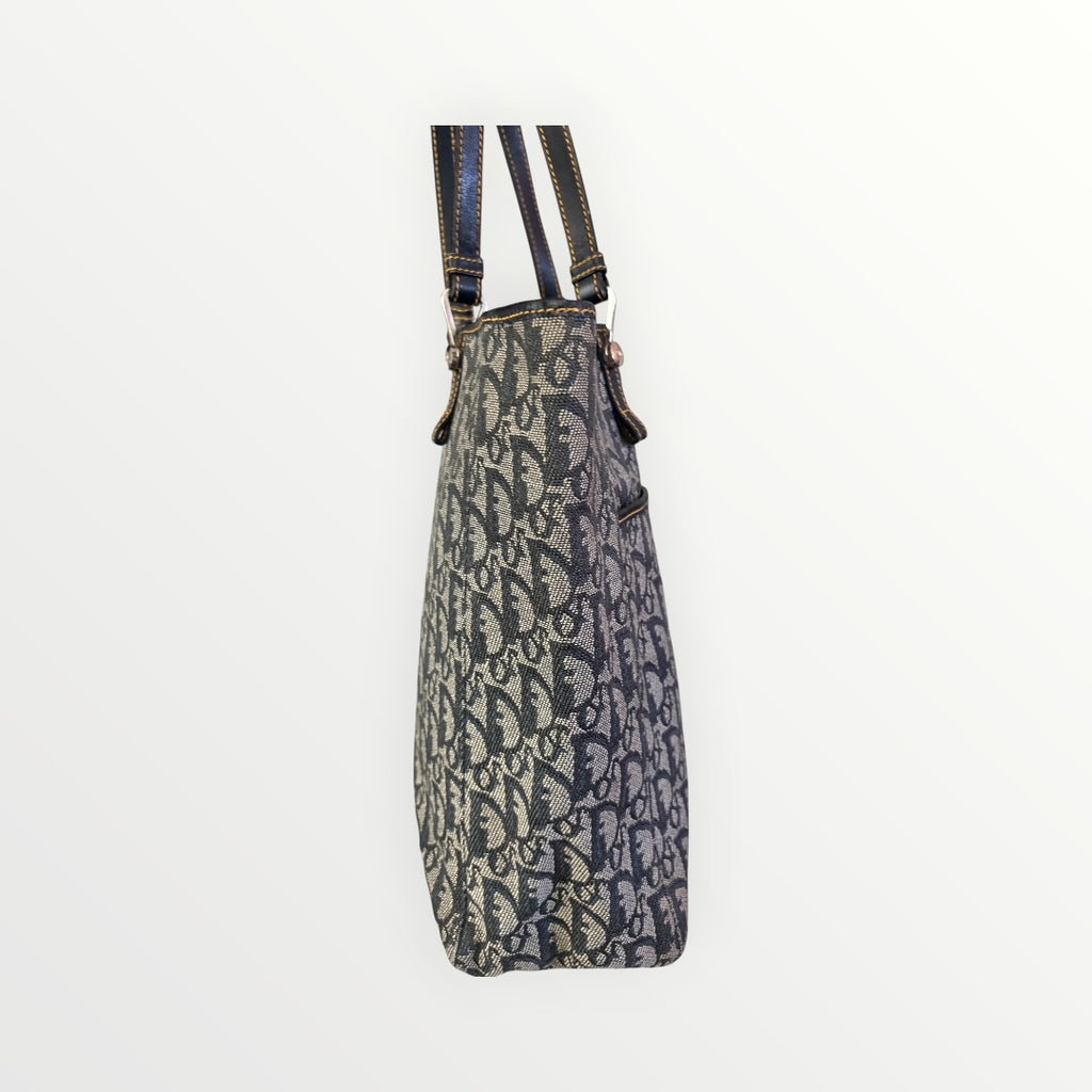 CHRISTIAN DIOR OBLIQUE TROTTER VERTICAL TOTE