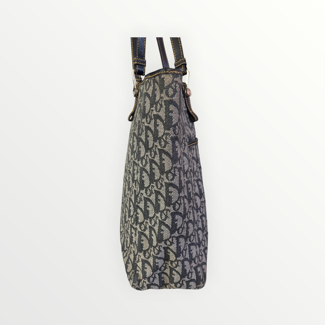 CHRISTIAN DIOR OBLIQUE TROTTER VERTICAL TOTE